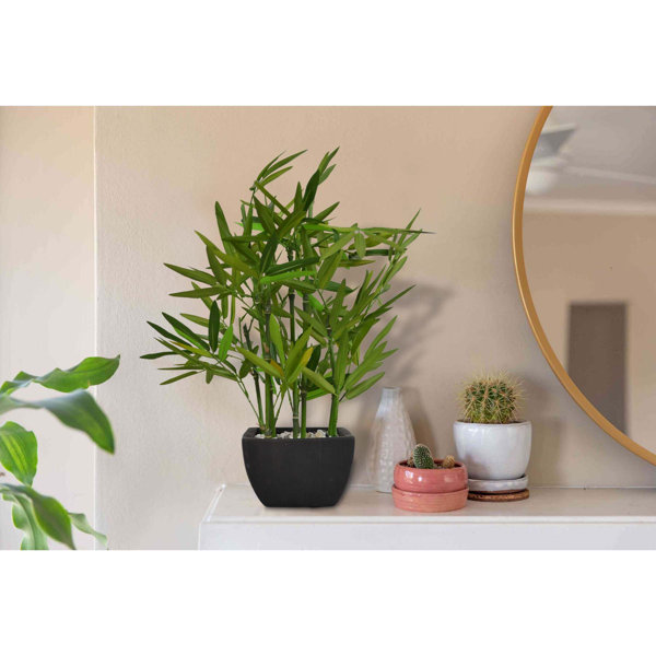 Primrue 18'' Faux Bamboo Plant in Pot & Reviews Wayfair